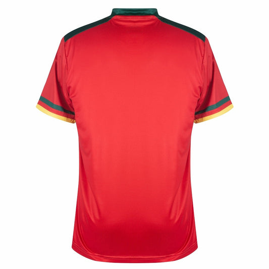 Maillot Cameroun Homme Rouge Third 2023