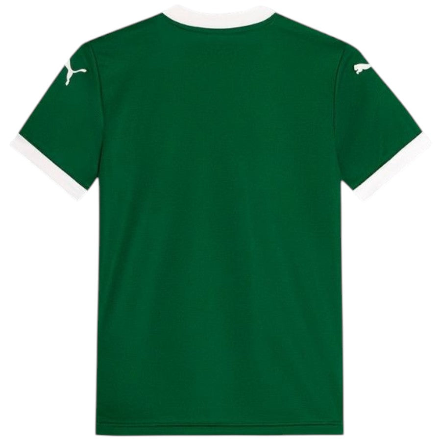 Palmeiras Home Kit Kindertrikot 2025 2026 | Fußballsport
