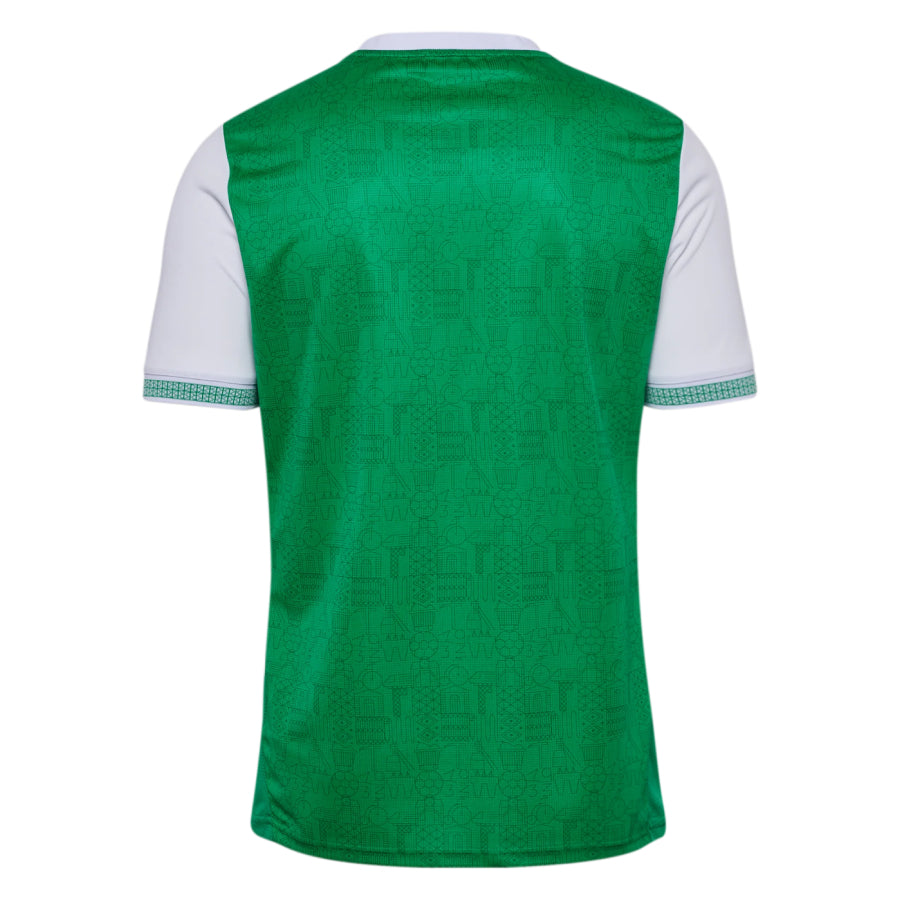 Maillot-AS-Saint-Etienne-Domicile-2025-2026-2