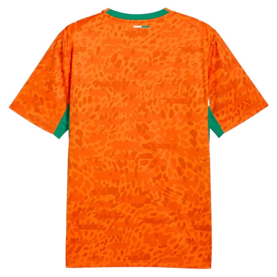 Maillot-Cote-dIvoire-Domicile-2026-2027-4