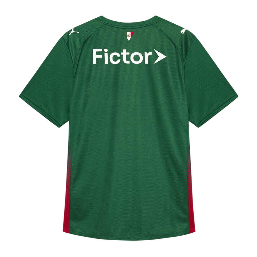 Maillot-Palmeiras-Domicile-Homme-2026-2