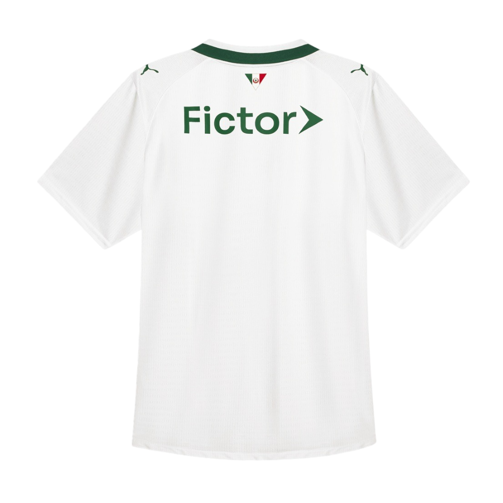 Maillot-Palmeiras-Exterieur-Homme-2026-2