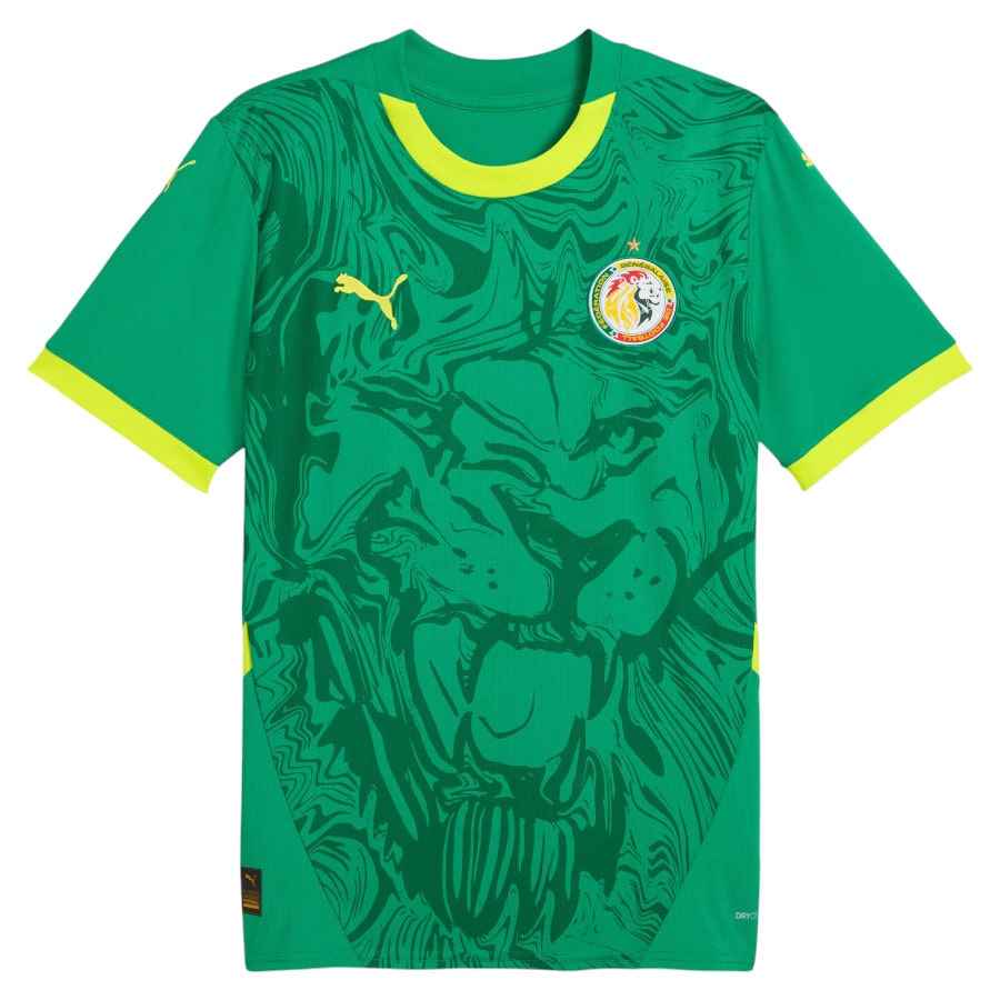 Senegal AFCON Away Kit Kids 2025 2026 Green | Foot Sport