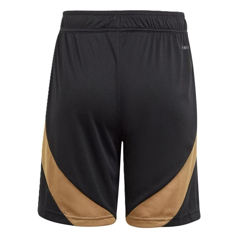 Short-Belgique-2024-2025-2