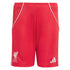 Short-Liverpool-Domicile-2025-2026