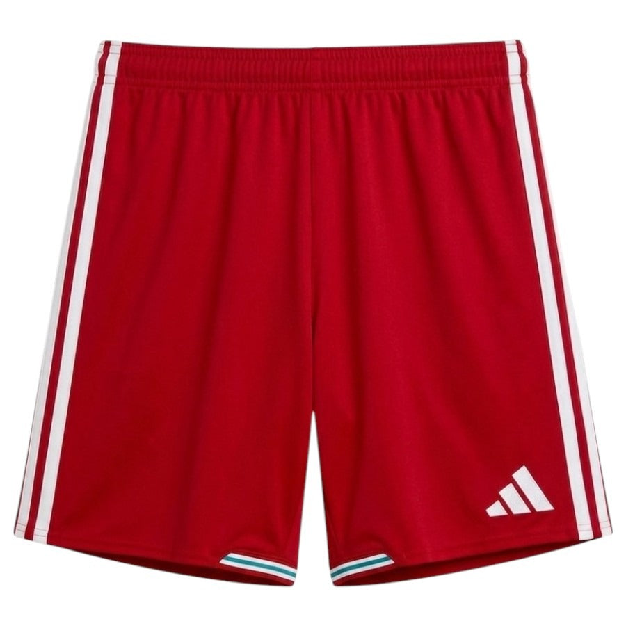 Short-Pays-de-Galles-Domicile-Homme-2026-2027-2