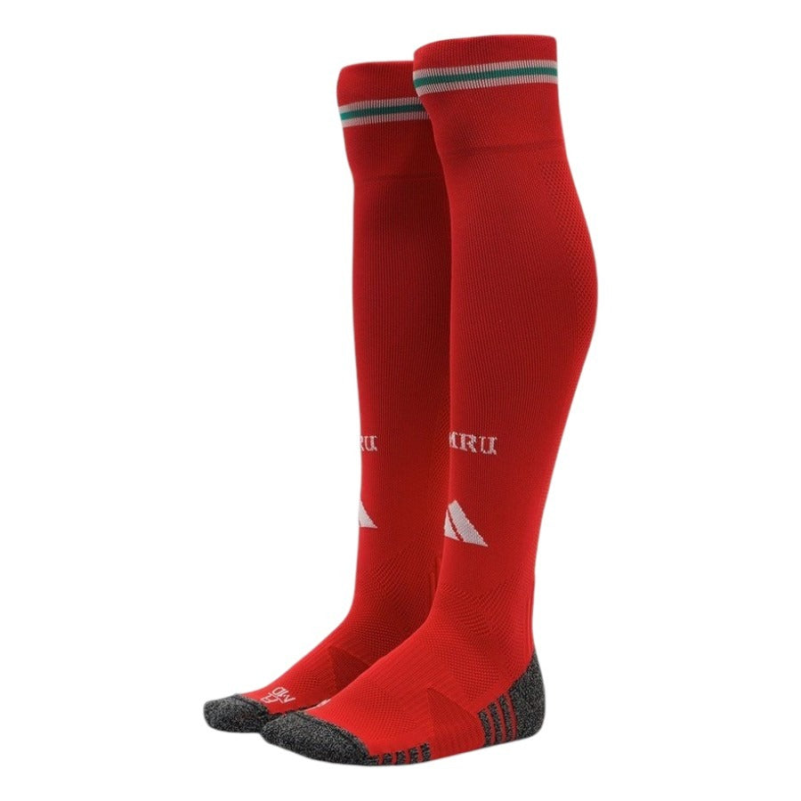 Chaussettes-Pays-de-Galles-Domicile-Homme-2026-2027-1