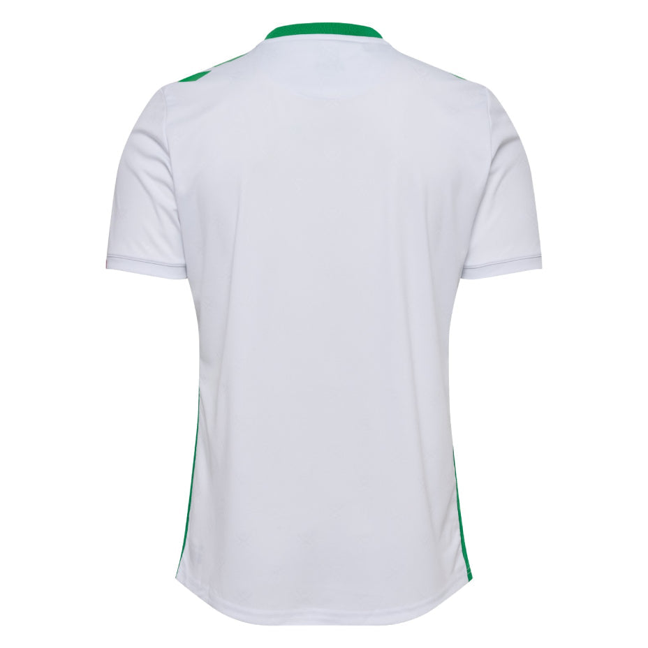 MAILLOT-AS-SAINT-ETIENNE-EXTERIEUR-2024-2025-2