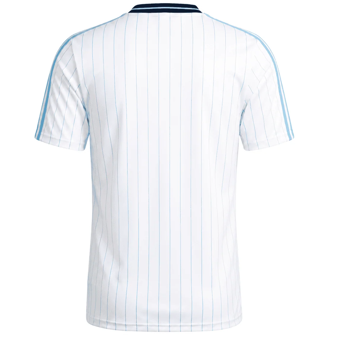 Maillot-Argentine-Terrace-Icons-Homme-2026-2