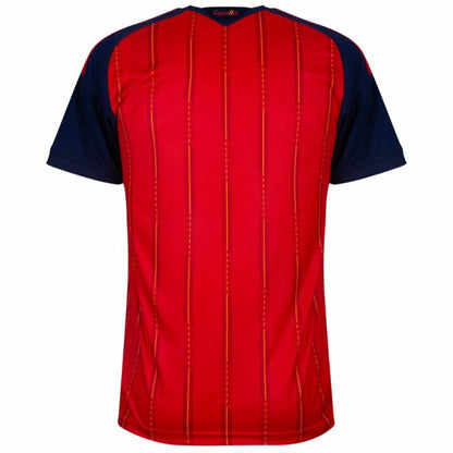 Maillot-Espagne-Domicile-2-Etoiles-2