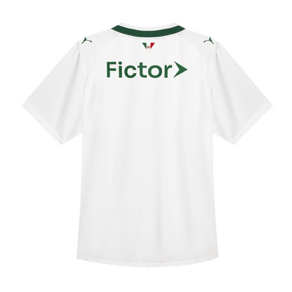 Maillot-Palmeiras-Exterieur-Homme-2026-2