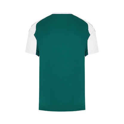 Maillot-Panathinaikos-Domicile-2-Homme-2025-2026-2