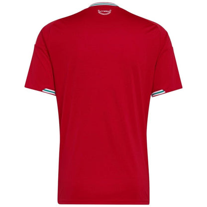 Maillot-Pays-de-Galle-Domicile-2026-2027-2