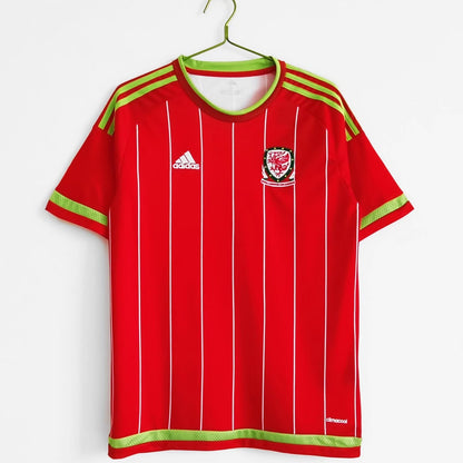 Maillot-Pays-de-Galles-2015-Domicile-Vintage-Retro-1