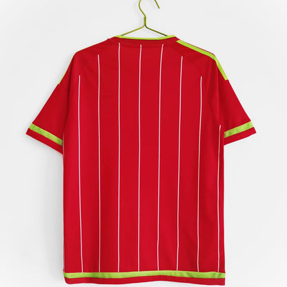 Maillot-Pays-de-Galles-2015-Domicile-Vintage-Retro-2