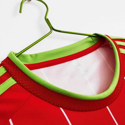 Maillot-Pays-de-Galles-2015-Domicile-Vintage-Retro-4