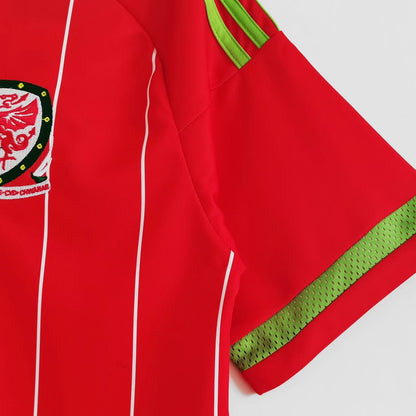 Maillot-Pays-de-Galles-2015-Domicile-Vintage-Retro-5