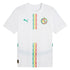 Maillot-Senegal-Domicile-2025-2026-a2c17d32-1330-45bb-843b-d122adb45616