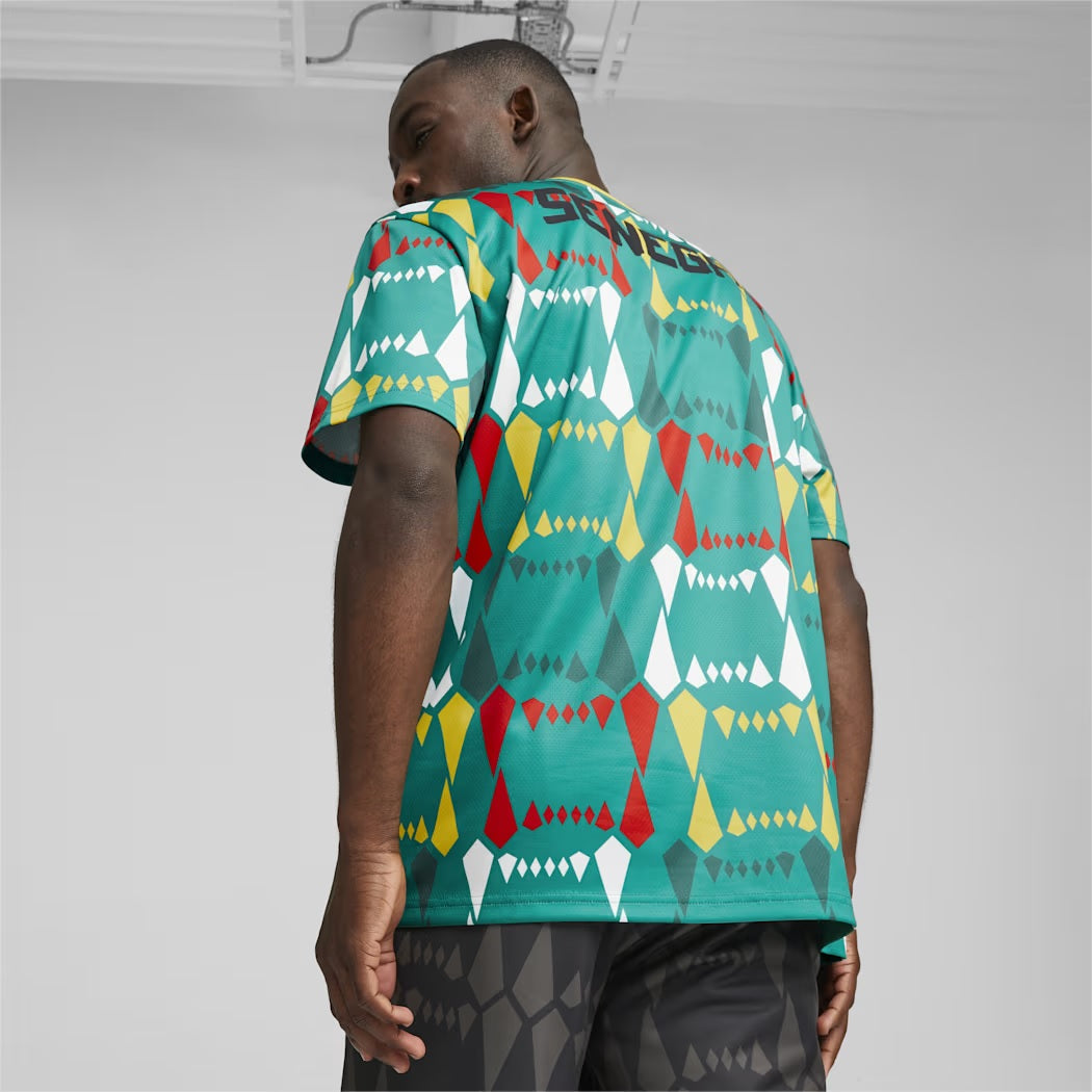 Maillot-Senegal-Ftbl-Culture-homme-2023-2024-3