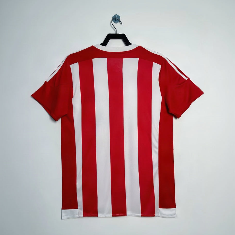 Maillot-Southampton-Retro-Vintage-2015-2016-Domicile-Homme-2