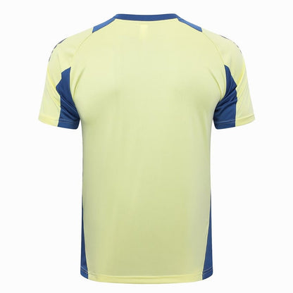 Survetement-Ajax-Polo-2024-2025-Jaune-Clair-3