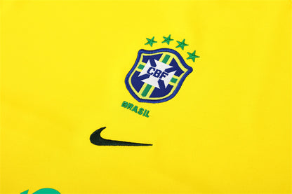 Veste Bresil Training Homme 2002 Jaune