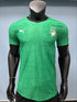 maillot-cote-d_ivoire-can-vert-2025-2026-version-match