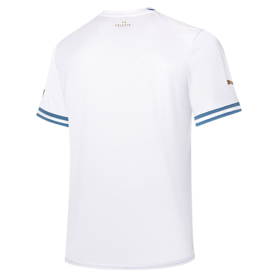 Maillot Uruguay Homme 2023